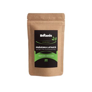 Právenka latnatá - Extrakt s 10% Andrographolide v prášku (Balení obsahuje: 20g)